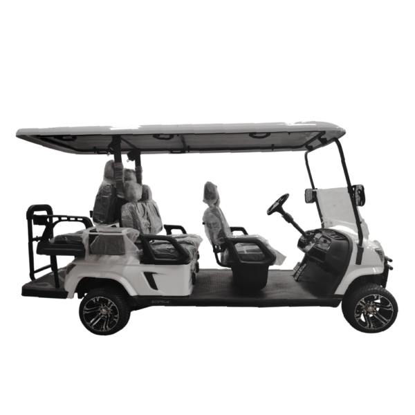 Carro de Golf de 6 pasajeros Modelo E blanco